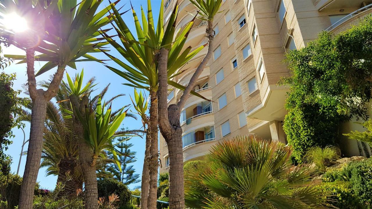 Lovely Apartment Beach Front & Pool El Campello Dış mekan fotoğraf